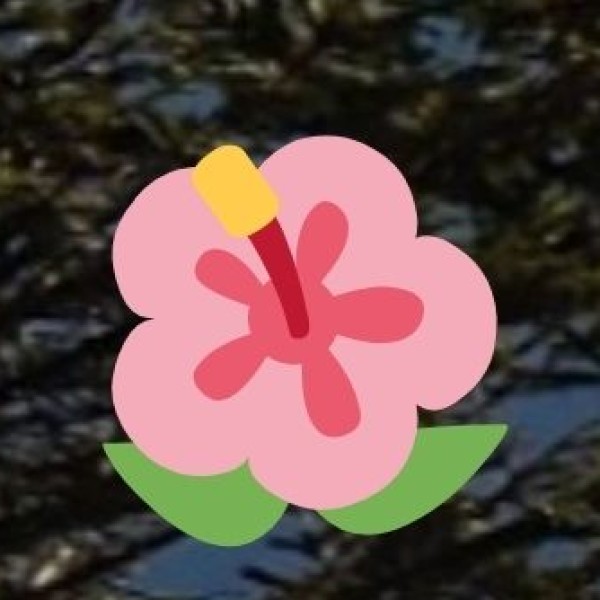 Internet, SIM Cards & Mobile Connectivity