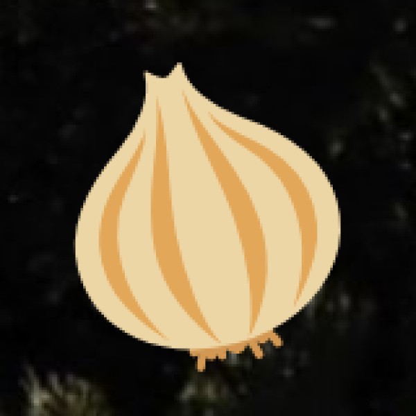 Best Time to Visit & Weather Tips