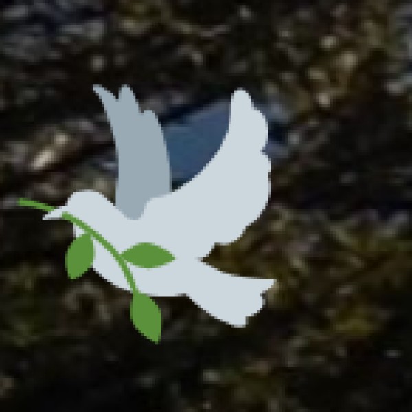 Health & Hygiene Tips