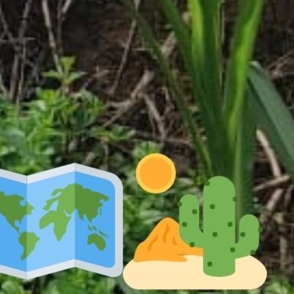 Must-Know Local Travel Etiquette & Dos & Don’ts