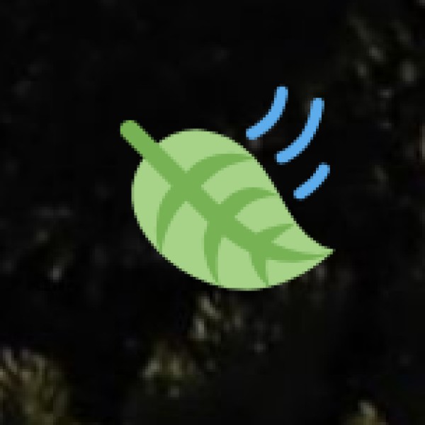 Kiliyur Falls – A Hidden Waterfall Retreat