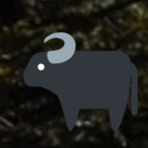 Jallikattu (Bull Taming Festival – January)