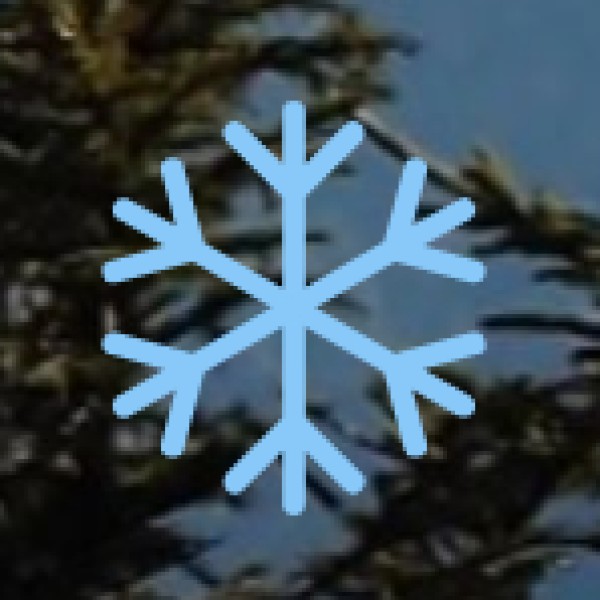 Samanar Hills (Jain Caves)