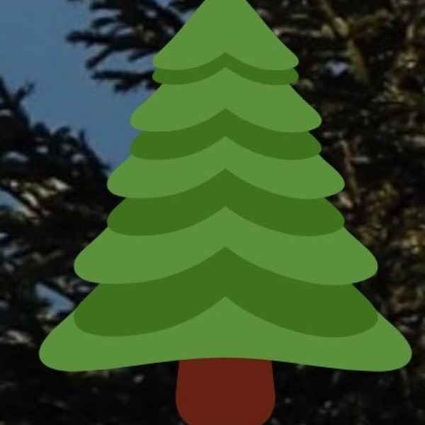 Thimmamma Marrimanu (Largest Banyan Tree)