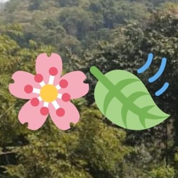 ISKCON Temple Salem – A Peaceful Spiritual Retreat