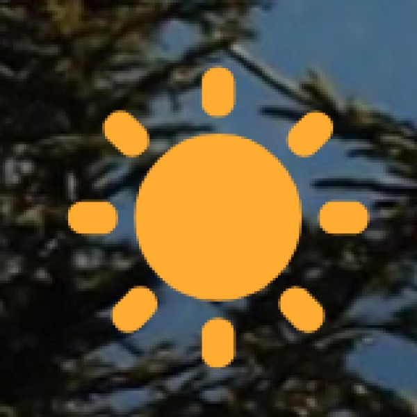 Kalpavruksha Temple (Sacred Wish-Granting Tree)