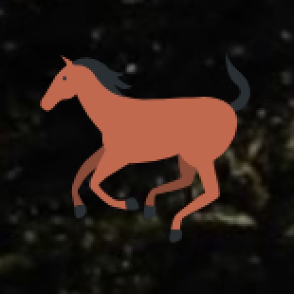 Government Museum – South India’s Largest Museum