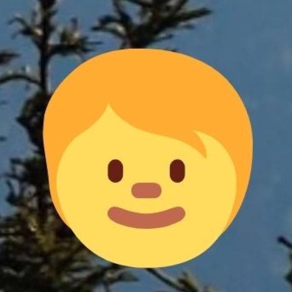 Jama Masjid (Inside Gulbarga Fort)