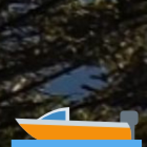 Watch or Attend a Snake Boat Race
