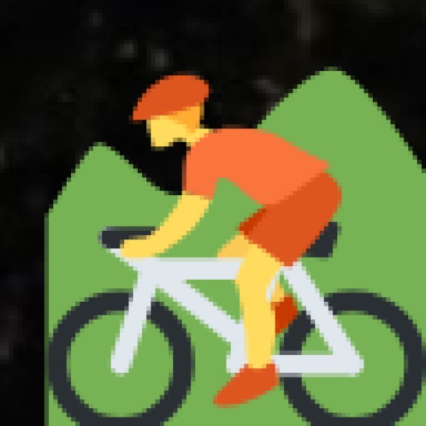 Bicycle Ride Along the Coastal Belt