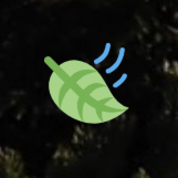 Ethipothala Waterfalls Picnic & Trek