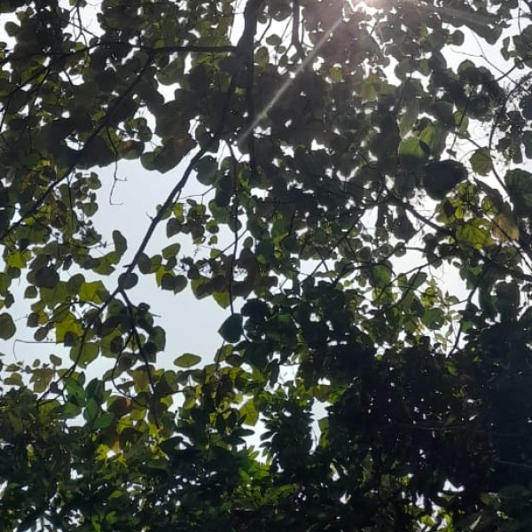 Top Activities & Experiences