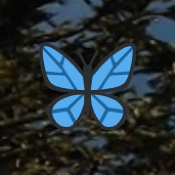 Travel Tips for Adventure Seekers