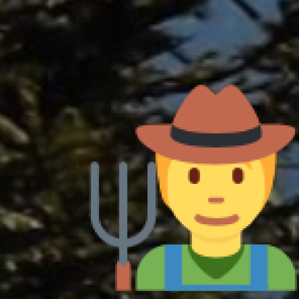 Activities & Experiences in Meerut