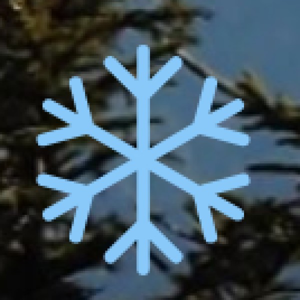 Camping & Eco-Tours in Godavari Delta