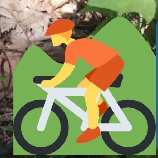 Cubbon Park & Lalbagh (Best for City Cycling)