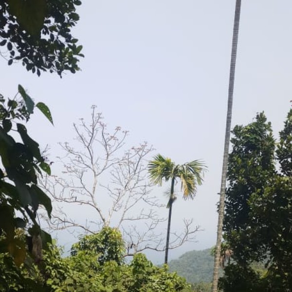 Hill Stations & Nature Near Madurai