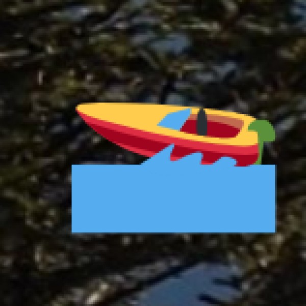 River Rafting and Bamboo Rafting (Seasonal)