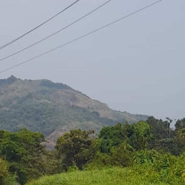 Top Activities & Experiences