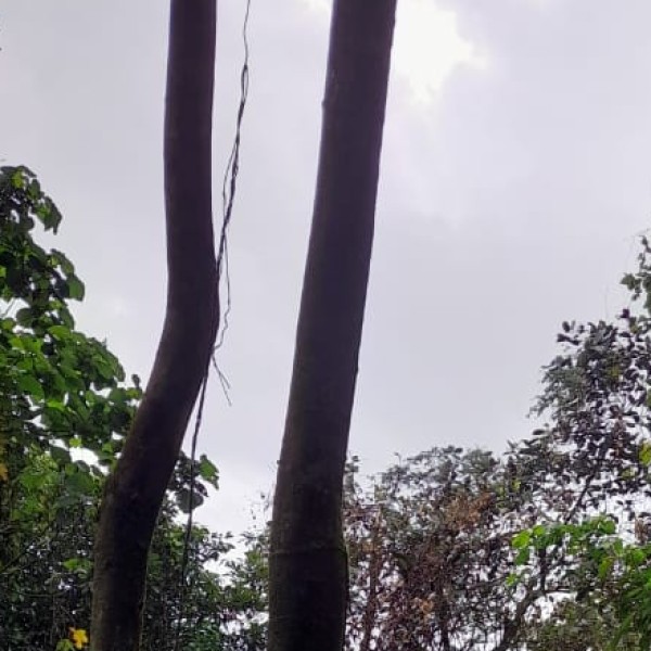 Top Activities & Experiences