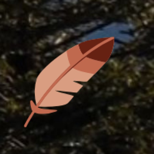 Adventure Sports & Outdoor Activities