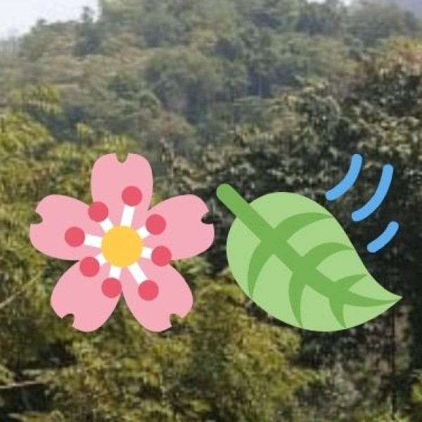 Trekking & Hiking in Tirupati Hills