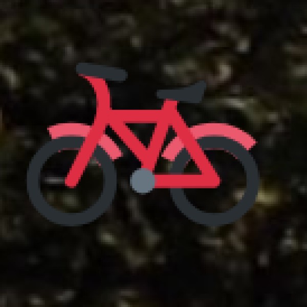 Cycling Through Paddy Fields and Village Trails