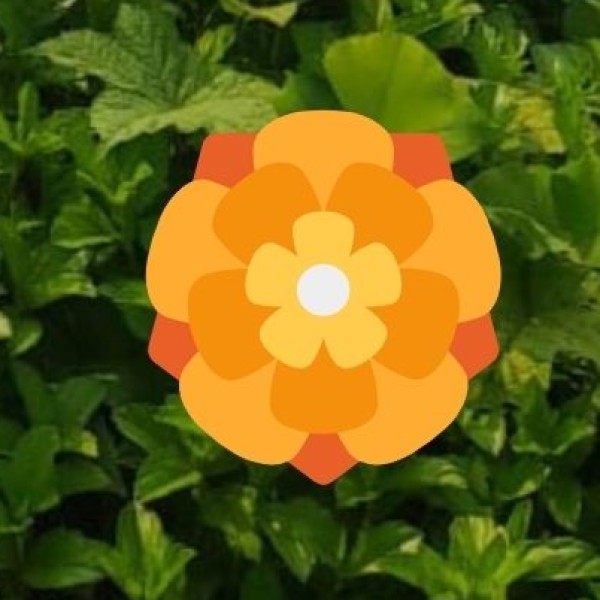 Go Shopping for Kanpur’s Famous Leather Goods