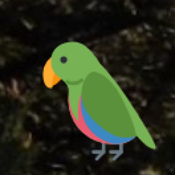 Birdwatching at Dadri Wetlands