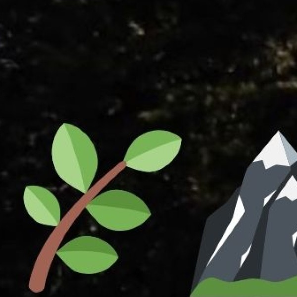 Visit a Rubber Plantation