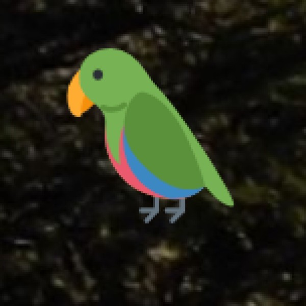 Visit Keetham Lake (Sur Sarovar Bird Sanctuary)