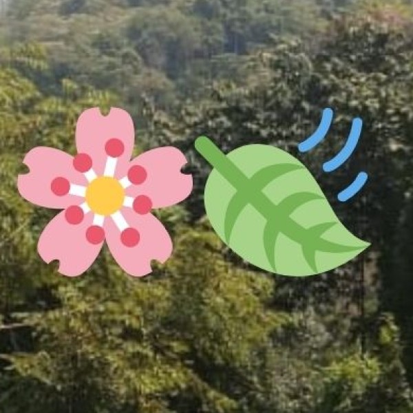 Visit Ambedkar Memorial Park