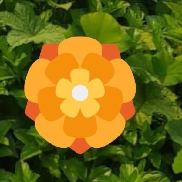 Enjoy Bowling & Arcade Games at Mahagun Metro Mall