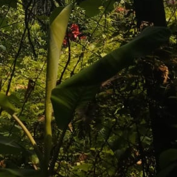 Top Activities & Experiences