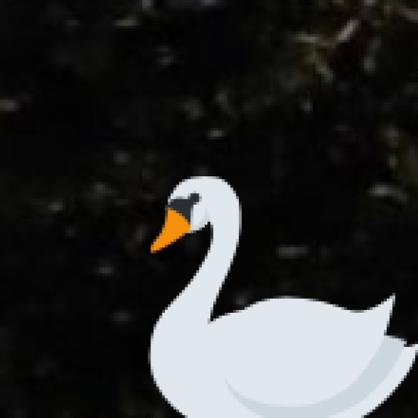 Activities & Experiences in Bareilly