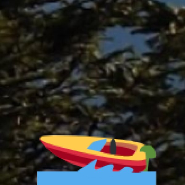 Take a Boat Ride on the Yamuna River (Taj Viewpoint)