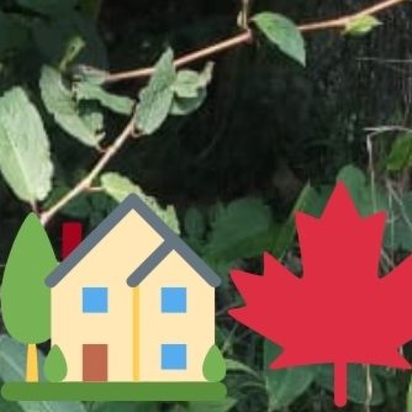 Off-Roading & ATV Rides