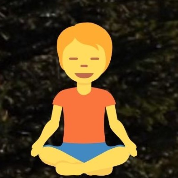 Yoga & Ayurvedic Wellness Retreats