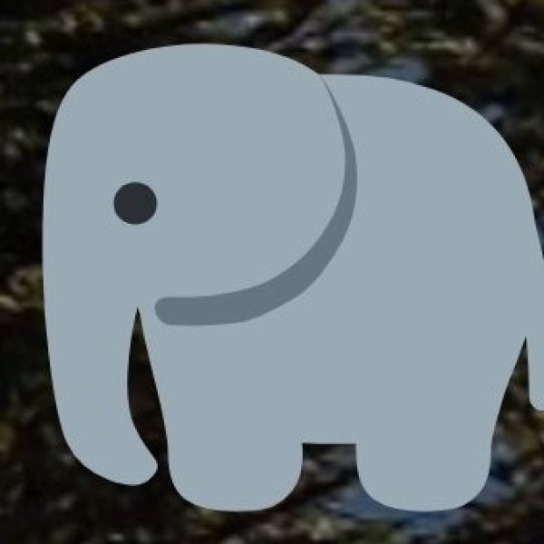 Visit the Punnathur Kotta (Elephant Sanctuary)