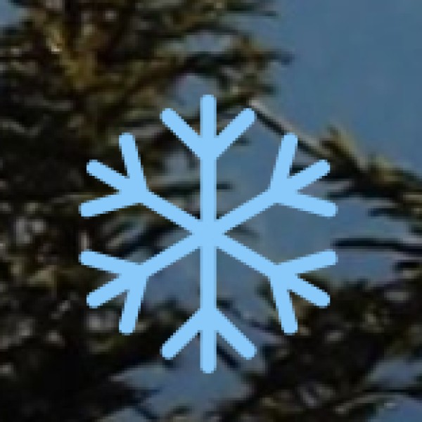 Go Shopping in Abu Lane & Gol Market