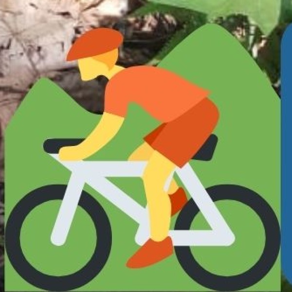 Cycling or Scooter Rides along Coastal Roads