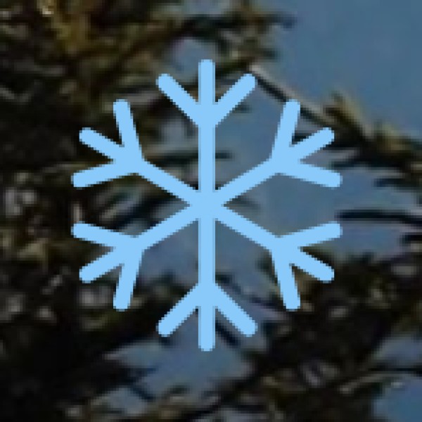 Watch a Live Event at Indirapuram Habitat Centre