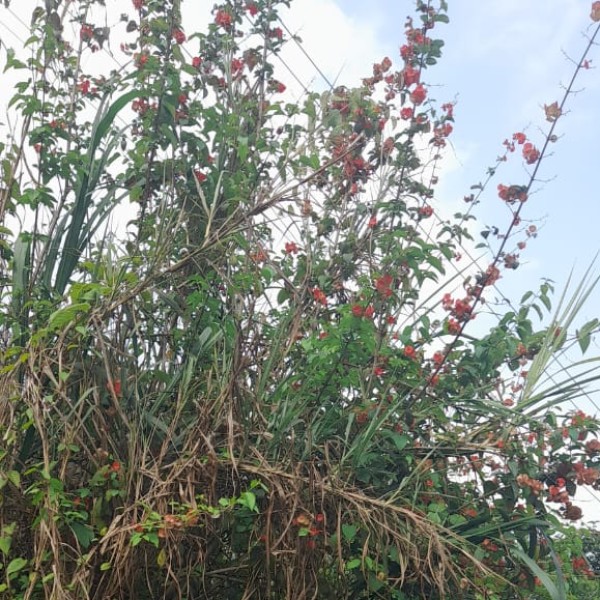 Top Activities & Experiences