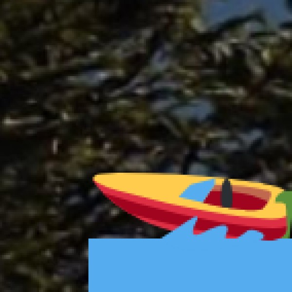 Kayaking & Canoeing in Godavari Backwaters