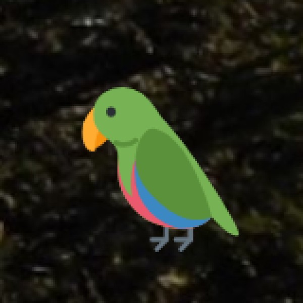 Explore the Okhla Bird Sanctuary