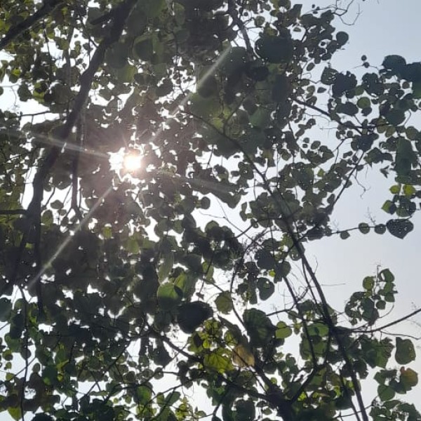 Top Activities & Experiences