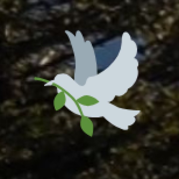 Watch the ‘Mohabbat-e-Taj’ Show