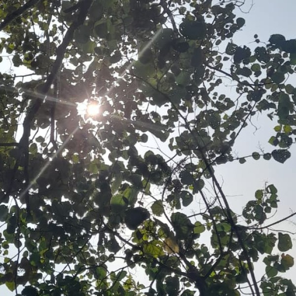 Top Activities & Experiences