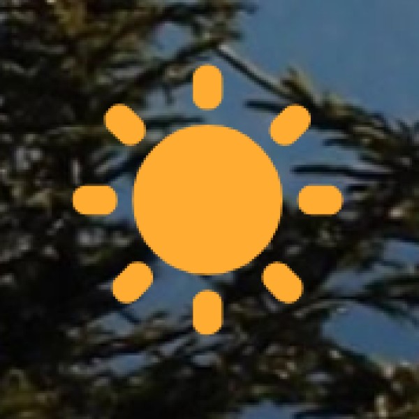 Enjoy a Walk in Gandhi Bagh & Attend the Musical Fountain Show