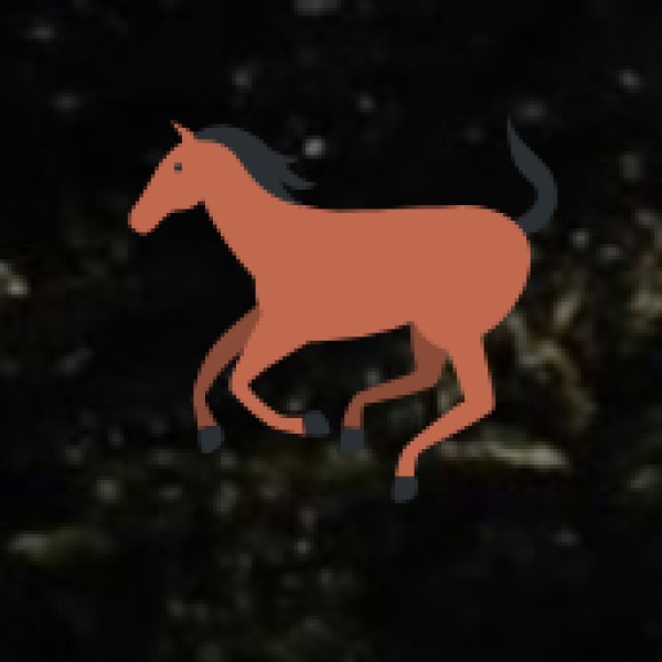 Horse Riding at Amaravati Polo Club